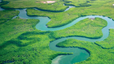 According to previous WEF research, $44trn – more than half of global GDP – is exposed to risks from nature loss. Image: WEF